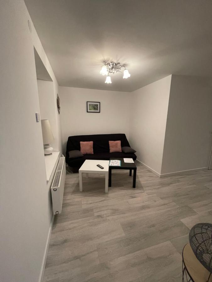 Au Coeur Des Vosges Apartment Saint-Etienne-les-Remiremont Екстериор снимка